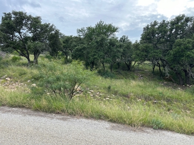 Lakeview Home Lot 385 in the Kings Point Cove Resort - image 13