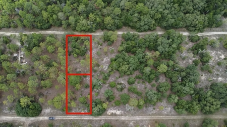 .23 acres, undeveloped land williston FL!!!!!!!!!! - image 1