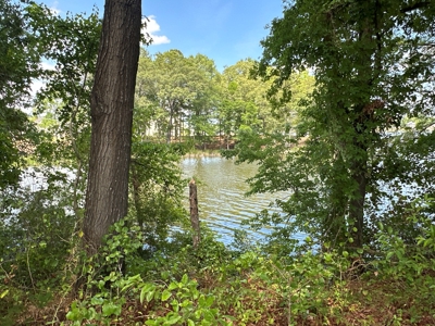 160-Acre Waterfront Estate in Bath, NC - image 33