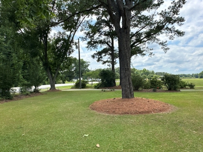 160-Acre Waterfront Estate in Bath, NC - image 10