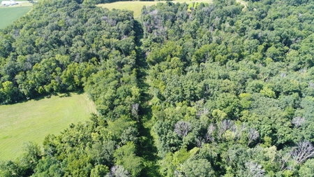 Clark County, MO Acreage with Home FOR SALE! - image 37