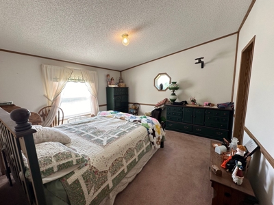 Clark County, MO Acreage with Home FOR SALE! - image 15