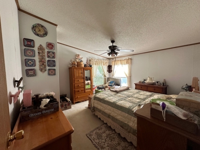 Clark County, MO Acreage with Home FOR SALE! - image 17