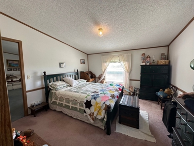 Clark County, MO Acreage with Home FOR SALE! - image 14