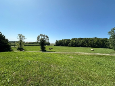 Clark County, MO Acreage with Home FOR SALE! - image 2