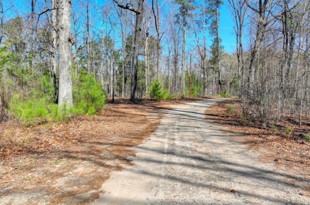 50+ acres for sale in MILTON GA with Pond and Creek - image 2