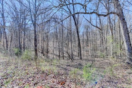 50+ acres for sale in MILTON GA with Pond and Creek - image 8