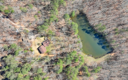 50+ acres for sale in MILTON GA with Pond and Creek - image 4
