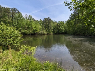 50+ acres for sale in MILTON GA with Pond and Creek - image 1