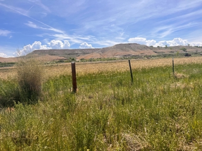 Rare, Exquisite Colorado Ranch, Recreational Property Acreage With Year Round Creek - image 19
