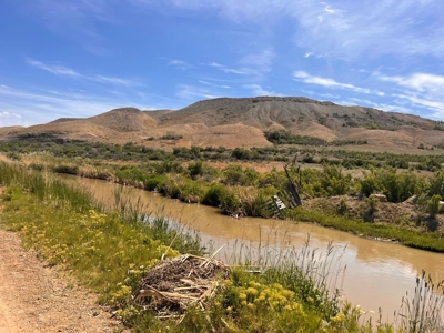 Rare, Exquisite Colorado Ranch, Recreational Property Acreage With Year Round Creek - image 14