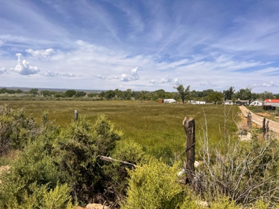 Rare, Exquisite Colorado Ranch, Recreational Property Acreage With Year Round Creek - image 8