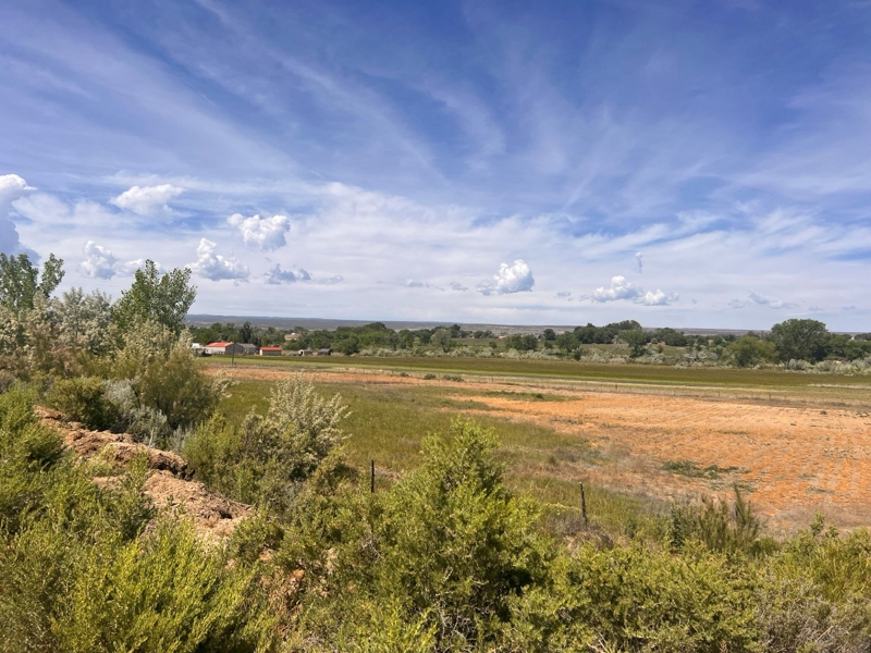 6617 5700 Road, Olathe, Colorado