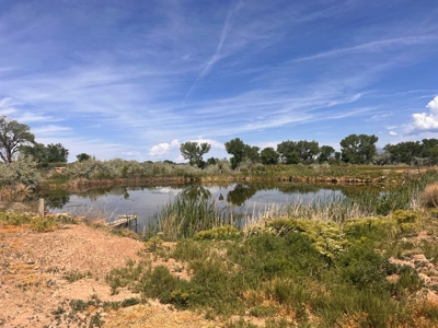 Rare, Exquisite Colorado Ranch, Recreational Property Acreage With Year Round Creek - image 18