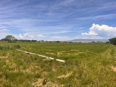 Rare, Exquisite Colorado Ranch, Recreational Property Acreage With Year Round Creek - image 22
