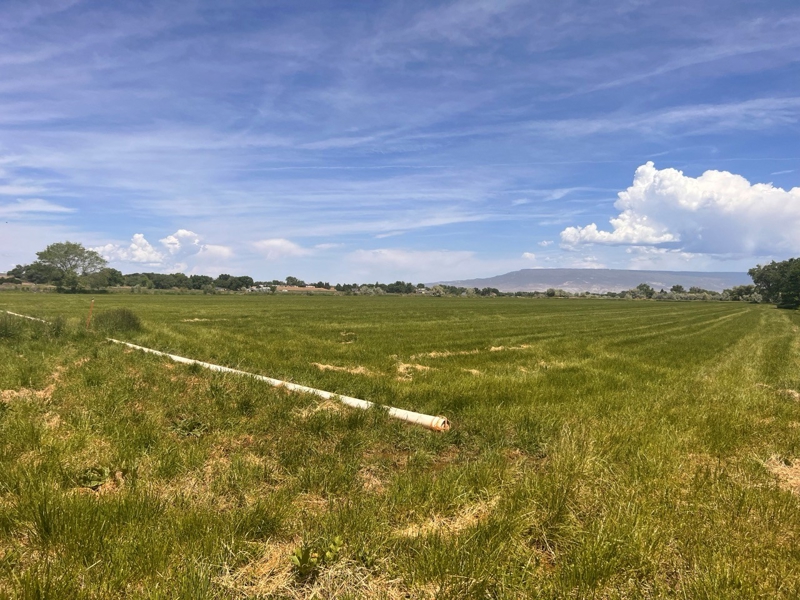 6617 5700 Road, Olathe, Colorado