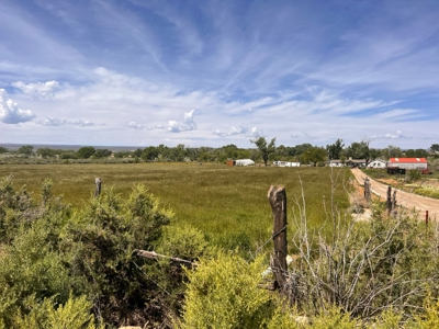 Rare, Exquisite Colorado Ranch, Recreational Property Acreage With Year Round Creek - image 9