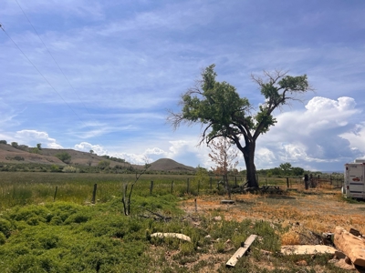 Rare, Exquisite Colorado Ranch, Recreational Property Acreage With Year Round Creek - image 16
