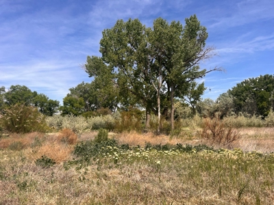 Rare, Exquisite Colorado Ranch, Recreational Property Acreage With Year Round Creek - image 20