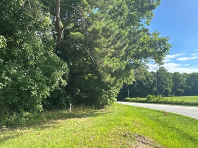 126 Acres of Hunting Land with Road Frontage in Bath, NC - image 8