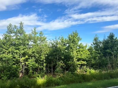 126 Acres of Hunting Land with Road Frontage in Bath, NC - image 12