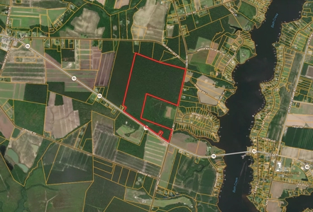126 Acres of Hunting Land with Road Frontage in Bath, NC - image 1