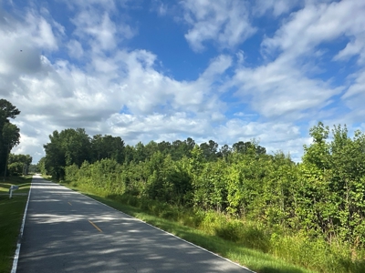 126 Acres of Hunting Land with Road Frontage in Bath, NC - image 10