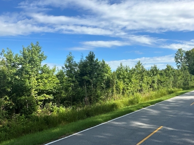 126 Acres of Hunting Land with Road Frontage in Bath, NC - image 13