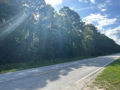 126 Acres of Hunting Land with Road Frontage in Bath, NC - image 6