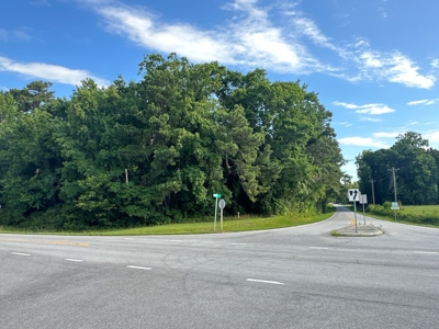 126 Acres of Hunting Land with Road Frontage in Bath, NC - image 2