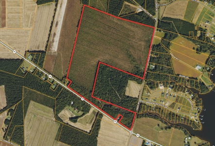 126 Acres of Hunting Land with Road Frontage in Bath, NC - image 16