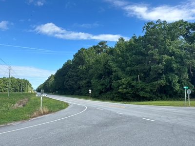 126 Acres of Hunting Land with Road Frontage in Bath, NC - image 3
