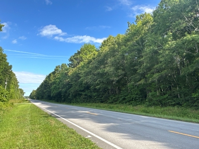 126 Acres of Hunting Land with Road Frontage in Bath, NC - image 4