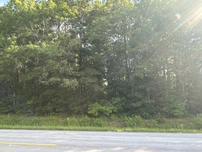 126 Acres of Hunting Land with Road Frontage in Bath, NC - image 5
