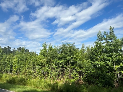 126 Acres of Hunting Land with Road Frontage in Bath, NC - image 11