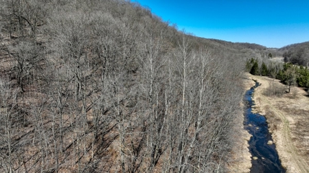 Class 1 Trout Stream on 53+/- Acres Vernon County - image 7