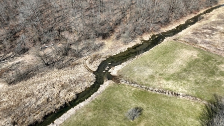 Class 1 Trout Stream on 53+/- Acres Vernon County - image 6
