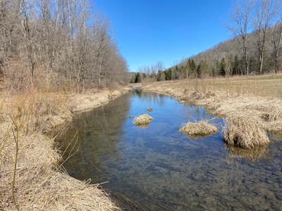 Class 1 Trout Stream on 53+/- Acres Vernon County - image 1