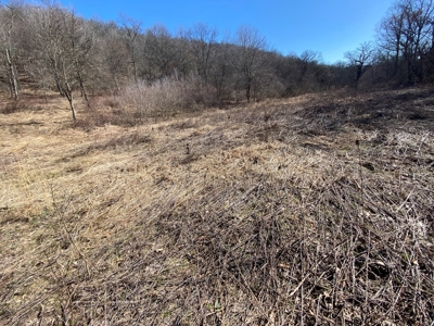 Class 1 Trout Stream on 53+/- Acres Vernon County - image 5