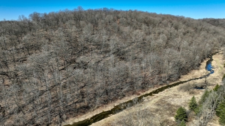 Class 1 Trout Stream on 53+/- Acres Vernon County - image 9