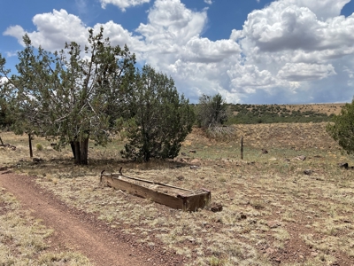 Large Acreage with a Cabin, Borders Public Land, No HOA - image 20