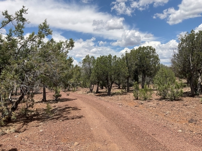 Large Acreage with a Cabin, Borders Public Land, No HOA - image 17