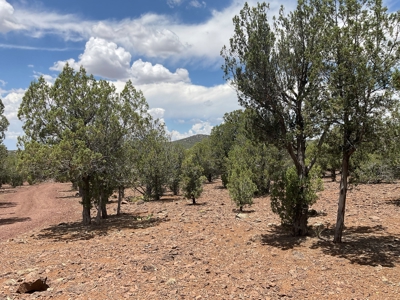 Large Acreage with a Cabin, Borders Public Land, No HOA - image 18