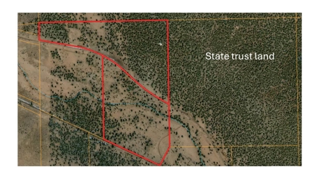 Large Acreage with a Cabin, Borders Public Land, No HOA - image 4