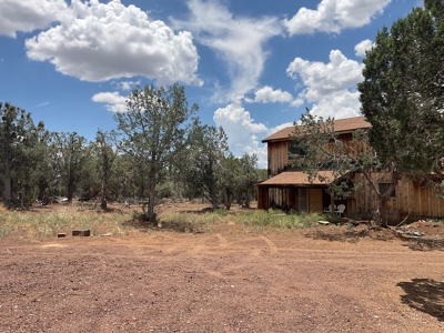 Large Acreage with a Cabin, Borders Public Land, No HOA - image 1
