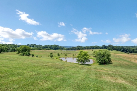 Private Country Home In Tennessee With Shop, Pond, Fencing - image 37
