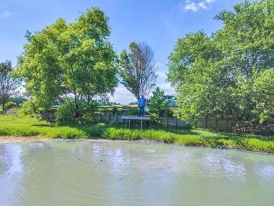 Private Country Home In Tennessee With Shop, Pond, Fencing - image 46