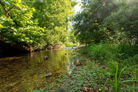 Acreage In Fulton County With Creek Frontage - image 14