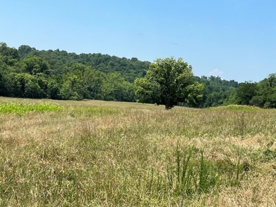 Acreage In Fulton County With Creek Frontage - image 1