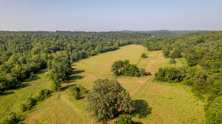 Acreage In Fulton County With Creek Frontage - image 12